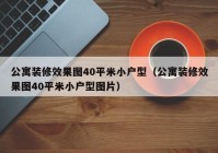 公寓装修效果图40平米小户型（公寓装修效果图40平米小户型图片）