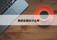 西欧庄园长什么样