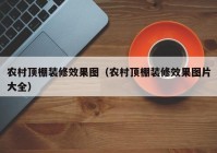 农村顶棚装修效果图（农村顶棚装修效果图片大全）