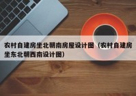 农村自建房坐北朝南房屋设计图（农村自建房坐东北朝西南设计图）