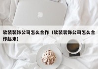 软装装饰公司怎么合作（软装装饰公司怎么合作起来）