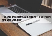 干湿分离卫生间装修效果图图片（干湿分离的卫生间装修效果图）