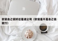 软装自己装好还是请公司（软装是不是自己装就行）